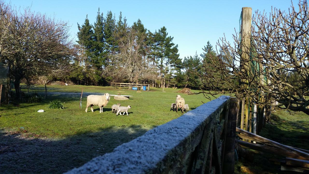 Woodbury Farm Bed & Breakfast Takanini Exterior photo